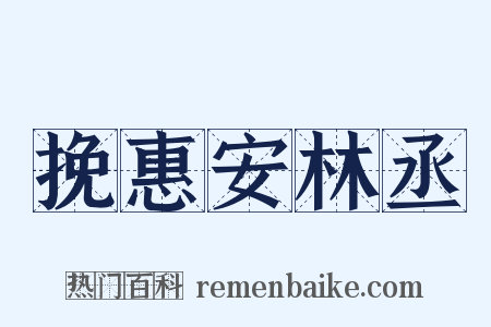 挽惠安林丞是什么意思的图片